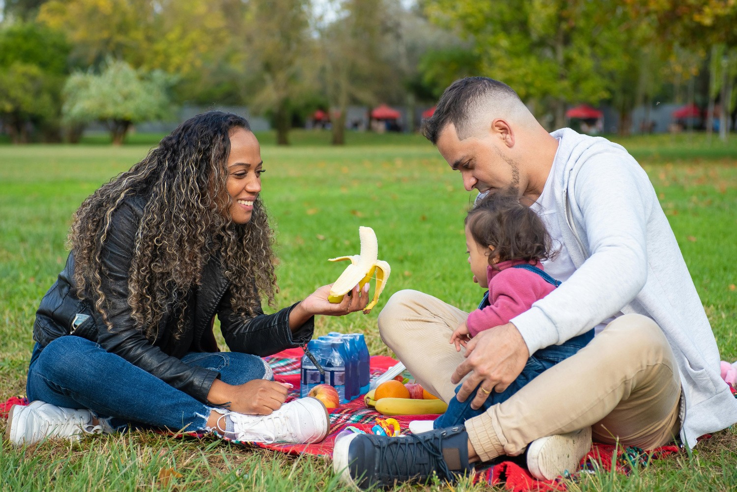Family having a picnic